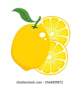 lemon fruit isolated vector illustrations yellow lemonade 