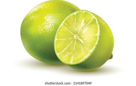 Lemon fruit with leaf isolate. Lemon whole, half, slice, leaves on white. Lemon slices with zest isolated. With clipping path. Full depth of field.