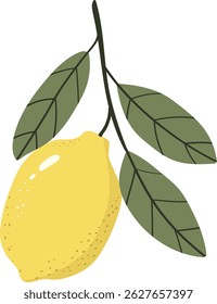 Fruta del limón con la hoja aislada