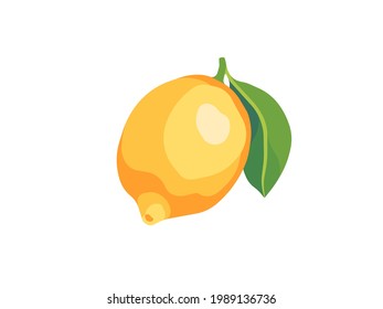 Lemon fruit with leaf isolated on white background 