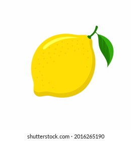 Frutos de limón con una hoja aislada en un fondo blanco. Ilustración del vector