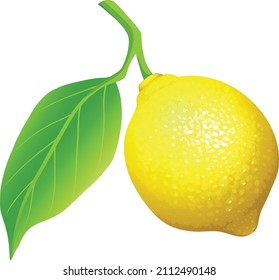fruta de limón con hoja aislada en fondo blanco Ruta de recorte