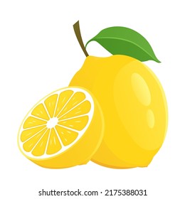 lemon fruit with leaf and lemon sliced vector illustration in white background