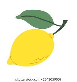 Lemon fruit with leaf. Vector illustration.