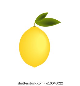 Lemon fruit with leaf. Vector Illustration. Isolated on white.