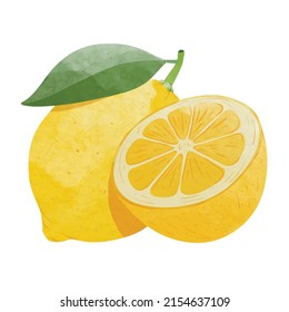 Lemon fruit with leaves Design elements. watercolour style vector illustration.