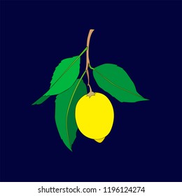 Lemon fruit with leaves isolated on dark blue background. Fresh citrus. Vector flat illustration. 