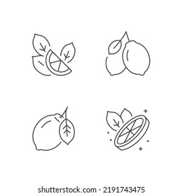 Lemon fruit line outline icon