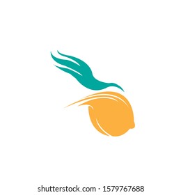Lemon fruit logo design vector - Vector