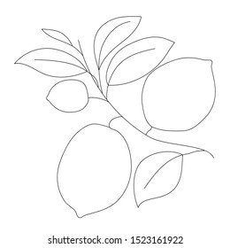 lemon fruit on branch. One line drawing, Line art logo, icon, label - vector illustration
