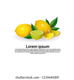lemon fruit on white background, healthy lifestyle or diet concept, logo for fresh fruits copy space vector illustration