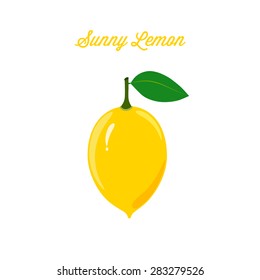 Lemon fruit on a white background.