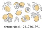 Lemon fruit outline set. Collection of lemon sketches with yellow spots. Hand drawn illustration.