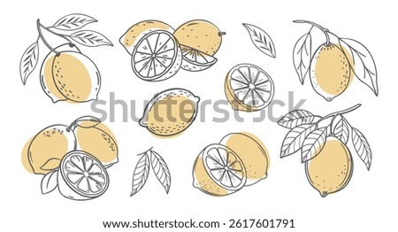 Lemon fruit outline set. Collection of lemon sketches with yellow spots. Hand drawn illustration.