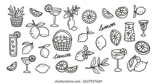 Lemon fruit related doodle sketch collection vector illustration. Summer modern graphic elements set.