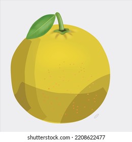 lemon fruit rich in vitamins vector illustration