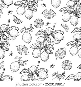 Lemon fruit seamless pattern. Hand drawn vector illustration. Lemon sketch. Design, package, brochure illustration. Lemon fruit illustration. Hand drawn background for packaging design and other.