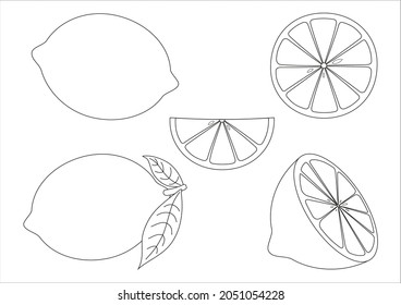 lemon fruit set vector illustration