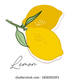 La fruta de limón se simplifica, se estiliza para el logotipo, el diseño, los fondos, los patrones. Ilustración vectorial, hecha a mano, color completo.