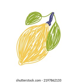 Zitronenfruchtskizze. Farbvektorgrafik. Pen- oder Markerdoodyzeichnung