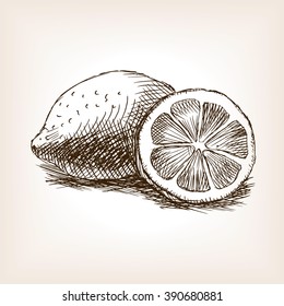 Lemon fruit sketch style vector illustration. Old engraving imitation. Lemon fruit hand drawn sketch imitation