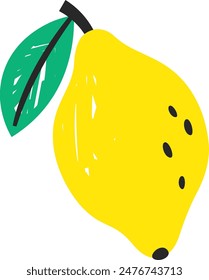 Lemon Fruit Sketch Vector Illustration