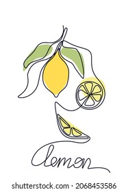 Lemon fruit and slices color line art. Hand drawn vector illustration.