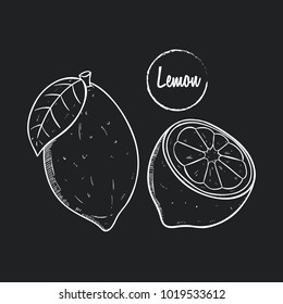 lemon fruit with text and sketch or doodle style on black background