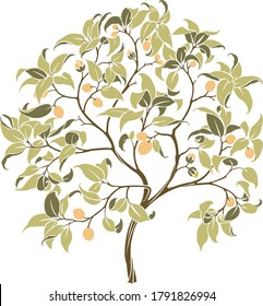 Lemon fruit tree, tree illustration