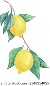 Cubierta vectorial de ramas de fruta de limón. Deliciosa y jugosa ilustración de limón. Frutas de verano, follaje, rama. Ilustración de Italia