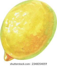 Lemon fruit twig vector watercolor. Delicious juicy lemon illustration. Summer fruits, foliage, branch. Italy illustration