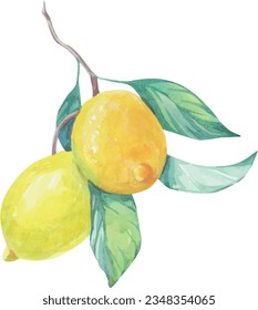 Cubierta vectorial de ramas de fruta de limón. Deliciosa y jugosa ilustración de limón. Frutas de verano, follaje, rama. Ilustración de Italia