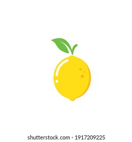 lemon  fruit  vector  illustration concept  design template