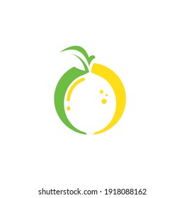 lemon  fruit  vector  illustration concept  design template