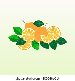 Lemon fruit vector illustration for design