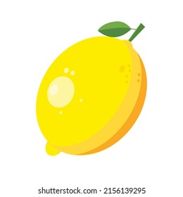 Lemon fruit vector illustration. Fresh juicy slice nature fruit