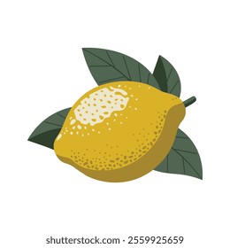 Lemon Fruit vector Illustration for Fresh Citrus and Food Design projects Isolated on white background    