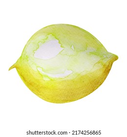 Lemon fruit vector imitation watercolor