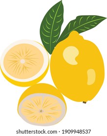 Frutos de limón vectorizados para uso personal y comercial.
