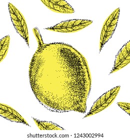 Lemon fruit vintage design template. Botanical fruits. Etched lemon. Hand-drawn composition of pomegranate. Vector illustration. Juicy natural fruits. Food healthy ingredient.