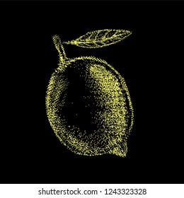 Lemon fruit vintage design template. Botanical fruits. Etched lemon. Hand-drawn composition of pomegranate. Vector illustration. Juicy natural fruits. Food healthy ingredient.