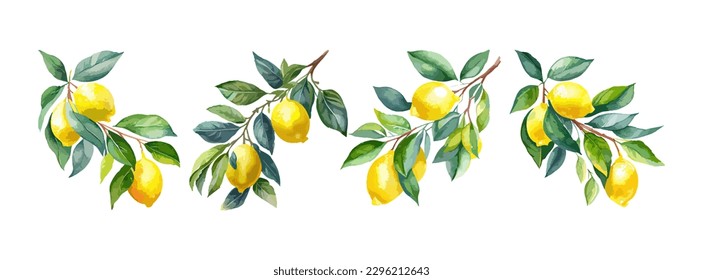 Acuarela de fruta de limón aislada sobre fondo blanco. Conjunto de cal orgánica amarilla, fruto natural de verano. Ilustración del vector