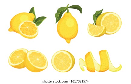 Lemon Fruit Whole and Cut into Halves Vector Set