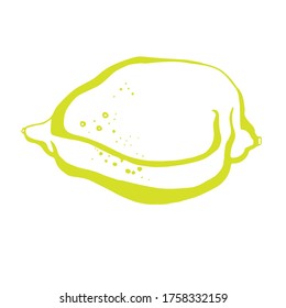 Lemon fruit. Yellow lemon on a white background