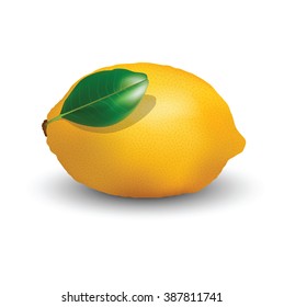 Lemon fruit for your design