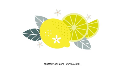 Lemon fruits. Flat illustration. Whole and cut fruits, leaves and flowers.