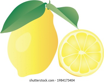 Lemon fruits food juicy vectorial