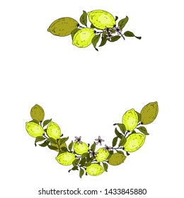 Lemon Fruits Frame for congratulations. Vector illustration.