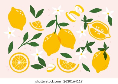 Frutos de limão. Citros frescos com folhas, limões amarelos maduros inteiros e pedaços cortados, frutos cítricos abstratos com folha, casca e flores, limonada azeda orgânica natural. Conjunto de desenhos animados vetoriais.