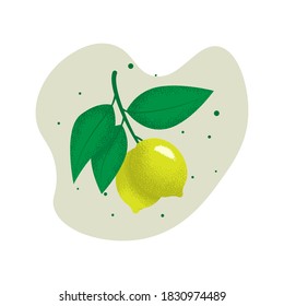 Lemon fruits and leaves on a branch. Vector illustration with grain texture.